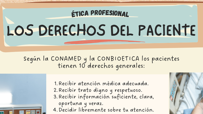 Imagen 9